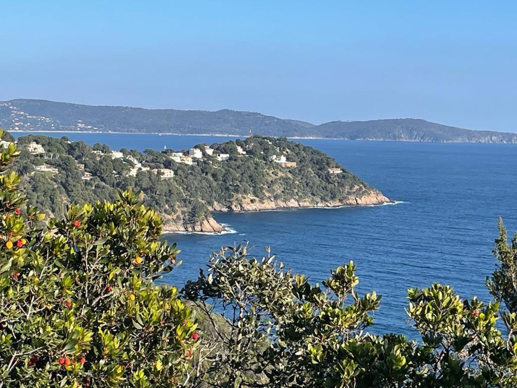 Appartement Les Calanques *